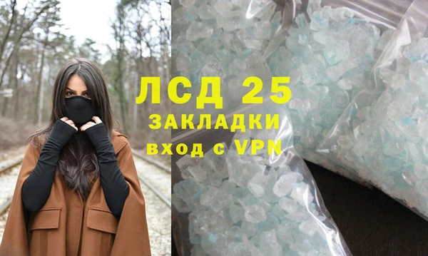 ГАЛЛЮЦИНОГЕННЫЕ ГРИБЫ Арсеньев