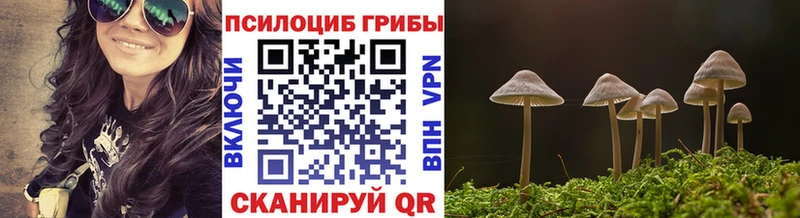 Галлюциногенные грибы ЛСД  Мосальск 